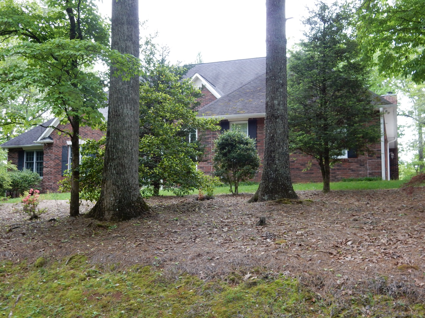 Homes for Sale Mountain Harbour Living and Golf